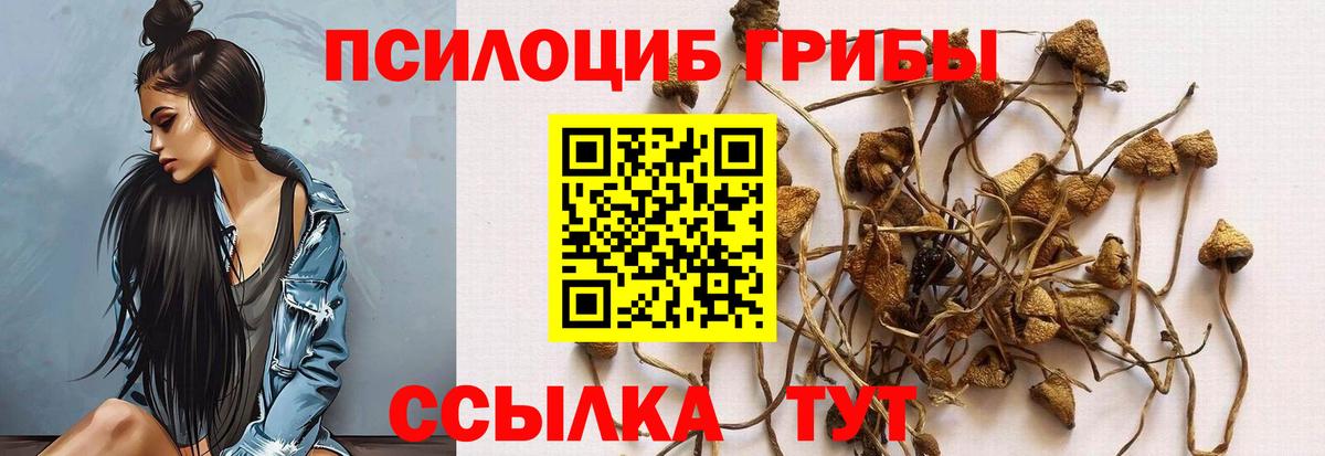 Галлюциногенные грибы Psilocybine cubensis  Галлюциногенные грибы мухоморы  Вход с VPN  Вологда 