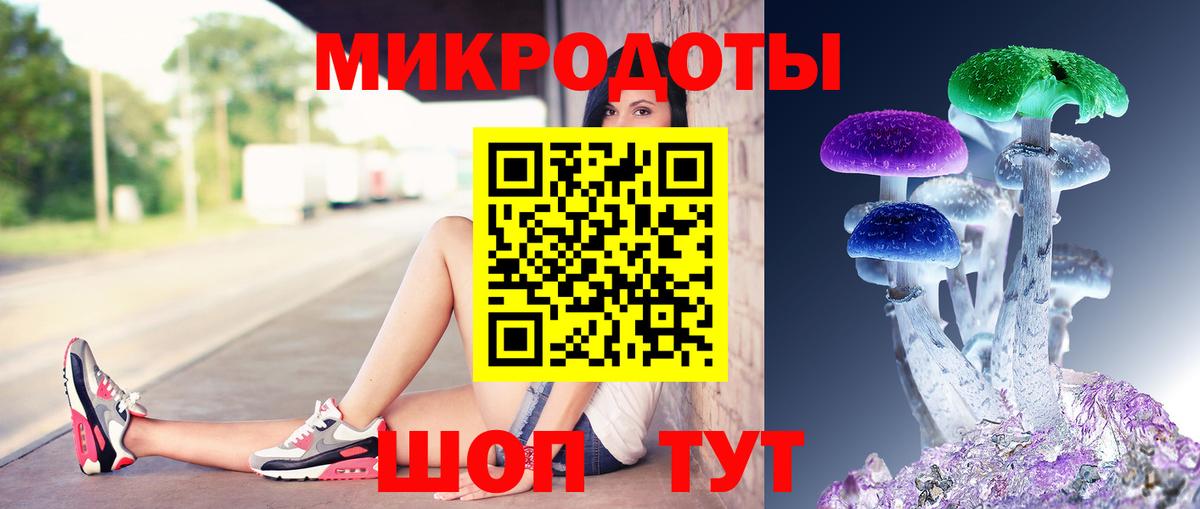 Псилоцибиновые грибы Psilocybine cubensis Вологда